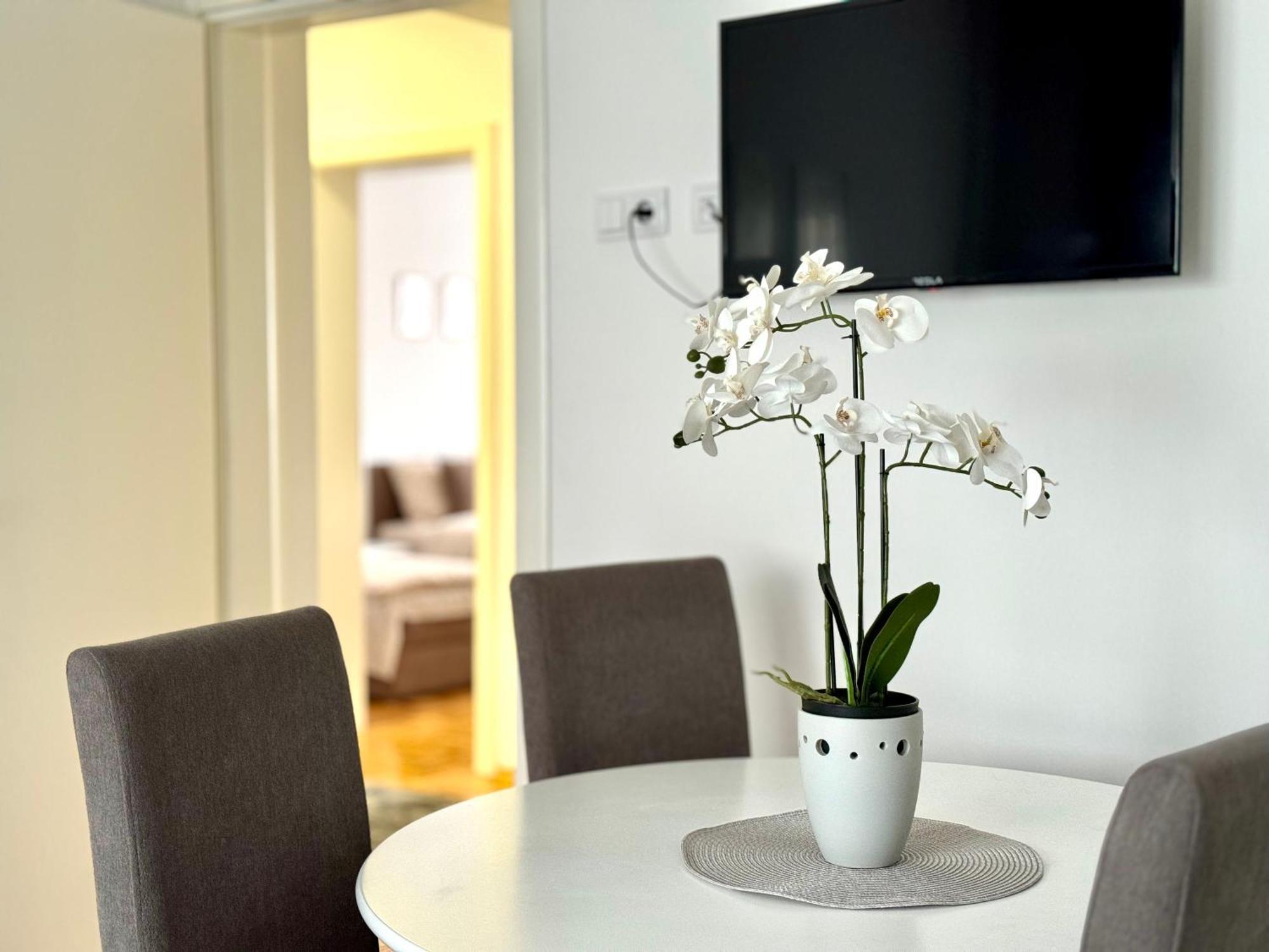 Gradiska Na Savi Apartmani I Sobe 외부 사진
